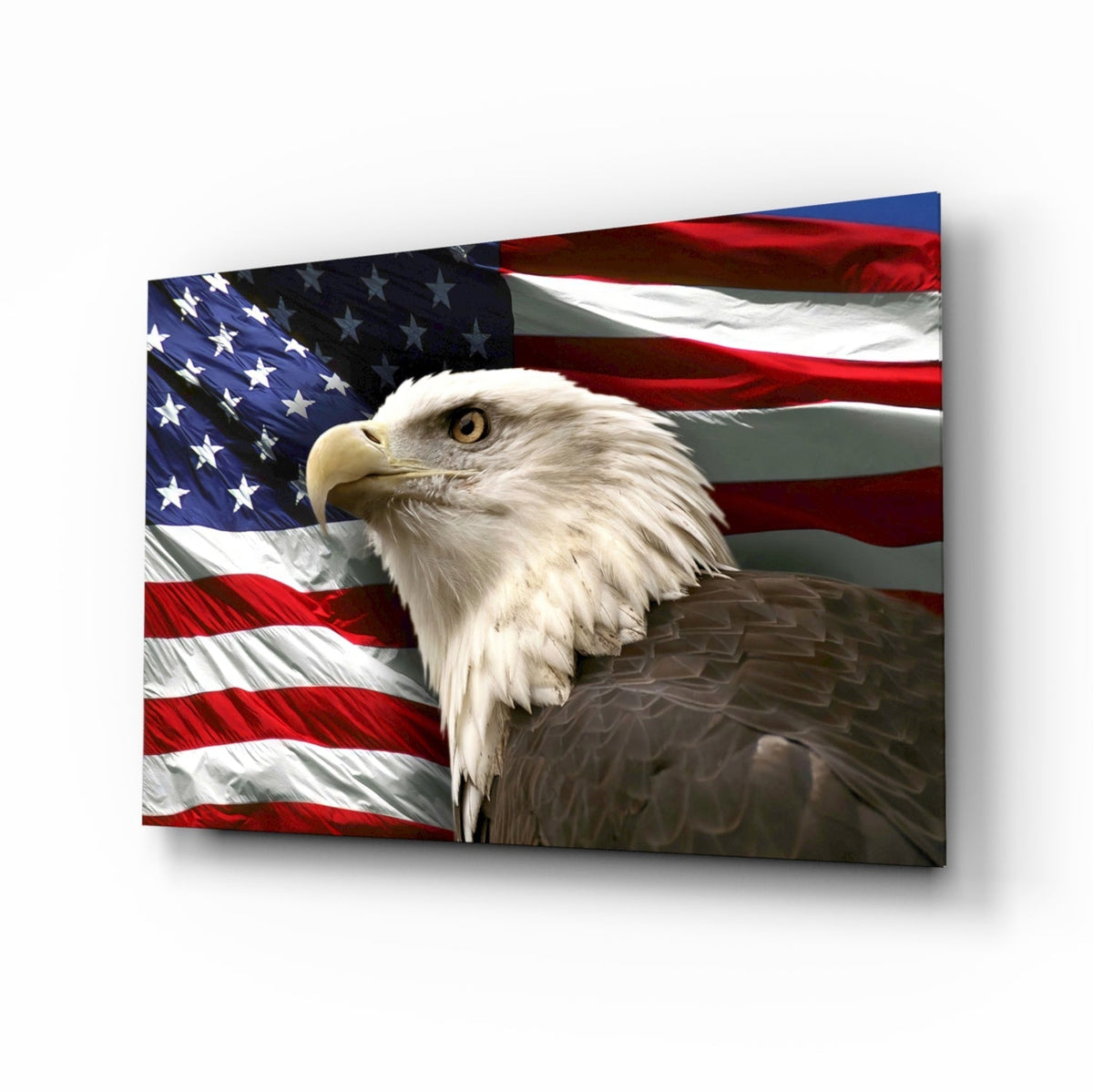 Eagle & Flag Patriotic Portrait Glass Art